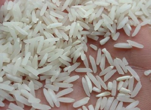 قیمت خرید برنج ندا مازندران اعلا + فروش ویژه